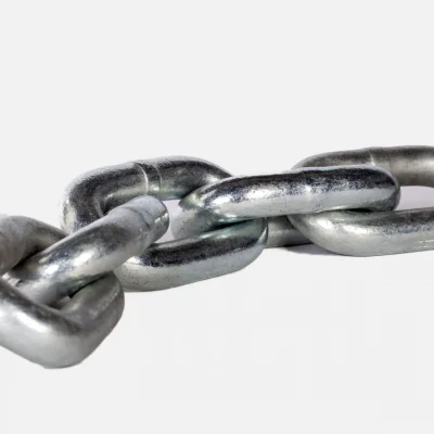 Nassentascher | Nassentschlacker