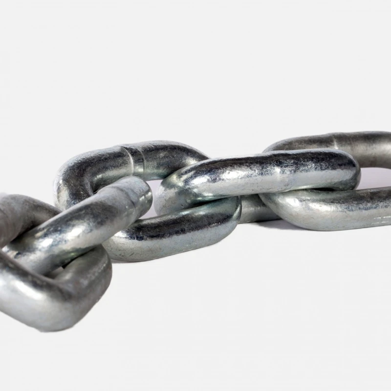 Nassentascher | Nassentschlacker